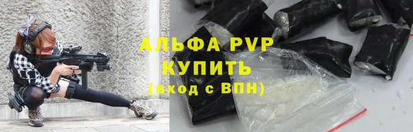 гидра Володарск