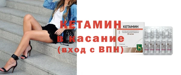 шишки Верея