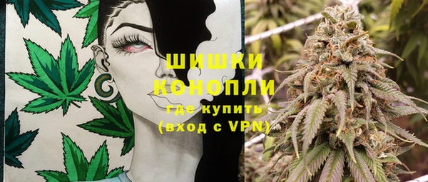 гидра Володарск