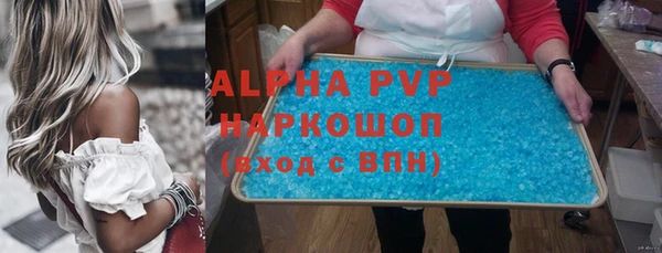 гидра Володарск